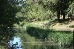 Десять миллионов евро на очистку реки Бык от Бухареста