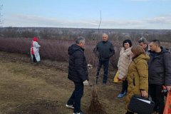 На многих молдавских плантациях проходят проверки с участием российских экспертов
