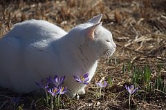 Переменная облачность, плюсовые температуры: до конца недели сохранится тёплая погода