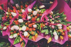 Эксперты поделились лайфхаками, как выбрать цветы к 8 Марта
