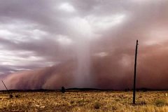 В Австралии продолжают бушевать природные пожары и песчаная буря