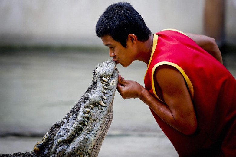 Când și unde în Bălți, puteți vedea „sărutul cu un crocodil”? фото 2