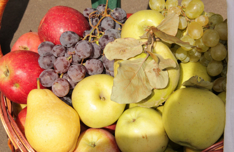 Piața rusă își „deschide porțile mai larg” legumelor și fructelor din Moldova! фото 2