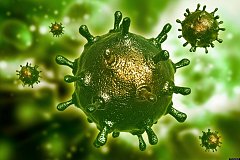 В каких странах «поселился» коронавирус «Govid-19»?