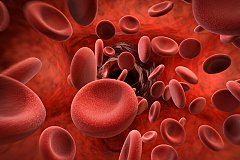 Каким болезням подвержены носители различных групп крови?