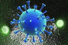 Исчерпывающая инфо о коронавирусе…